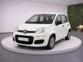 usato FIAT Panda