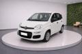 usato FIAT Panda