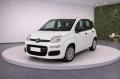 usato FIAT Panda
