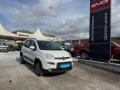 usato FIAT Panda