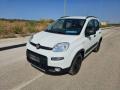 usato FIAT Panda