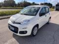 usato FIAT Panda