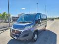 usato FIAT Ducato