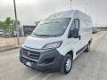 usato FIAT Ducato