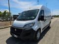 usato FIAT Ducato