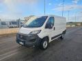 usato FIAT Ducato