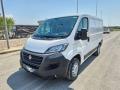 usato FIAT Ducato