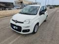 usato FIAT Panda
