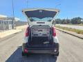 usato FIAT Panda