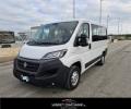 usato FIAT Ducato