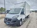 usato FIAT Ducato