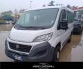 usato FIAT Ducato