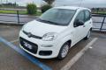 usato FIAT Panda