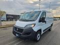 usato FIAT Ducato