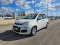 usato FIAT Panda