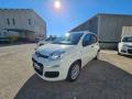 usato FIAT Panda