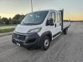 usato FIAT Ducato