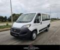 usato FIAT Ducato
