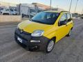 usato FIAT Panda