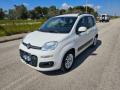 usato FIAT Panda