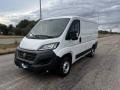 usato FIAT Ducato