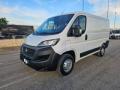 usato FIAT Ducato