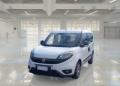 usato FIAT Doblo