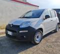 usato FIAT Panda