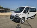 usato FIAT Ducato