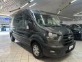 usato FORD Transit