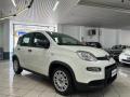 usato FIAT Panda