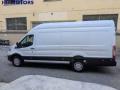 usato FORD Transit