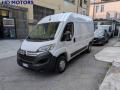 usato FIAT Ducato