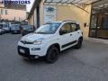 usato FIAT Panda