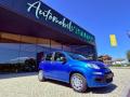 usato FIAT New Panda