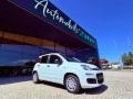 usato FIAT New Panda