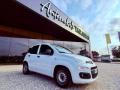 usato FIAT New Panda