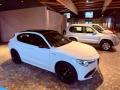 usato ALFA ROMEO Stelvio
