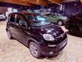 usato FIAT New Panda