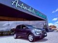 usato FORD EcoSport