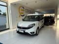 usato FIAT Doblo