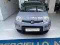 usato FIAT Panda