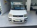 usato FIAT Panda