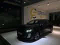 usato PEUGEOT 208