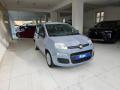 usato FIAT Panda