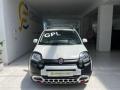 usato FIAT Panda