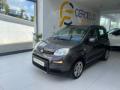 usato FIAT Panda