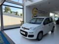 usato FIAT Panda