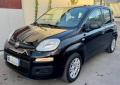 usato FIAT Panda