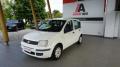 usato FIAT Panda